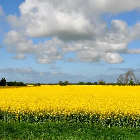 Mit Meerblick דירה *