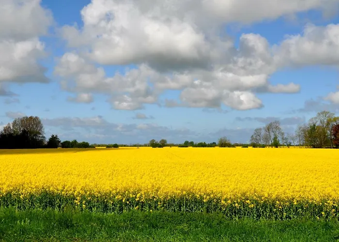 Mit Meerblick Appartement *